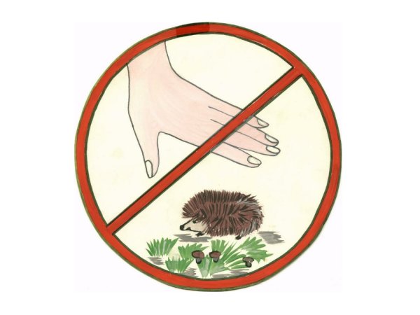 Знаки защиты природы