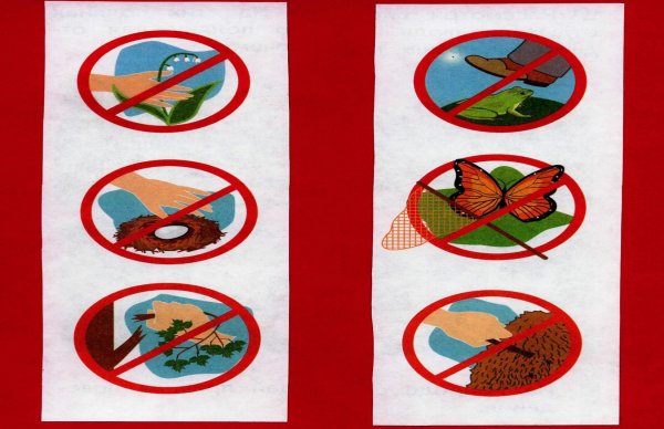 Экологический знак природы