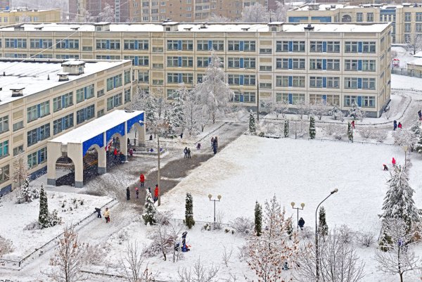 Школа зимой