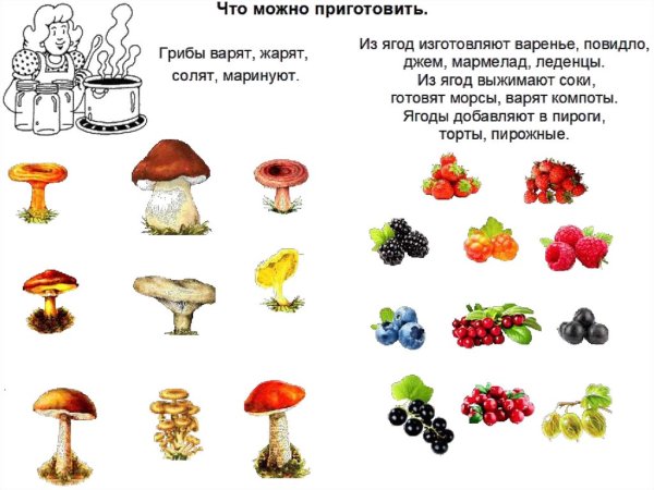 Лексическая тема грибы ягоды