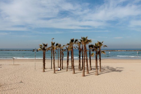 Гордон в Израиле