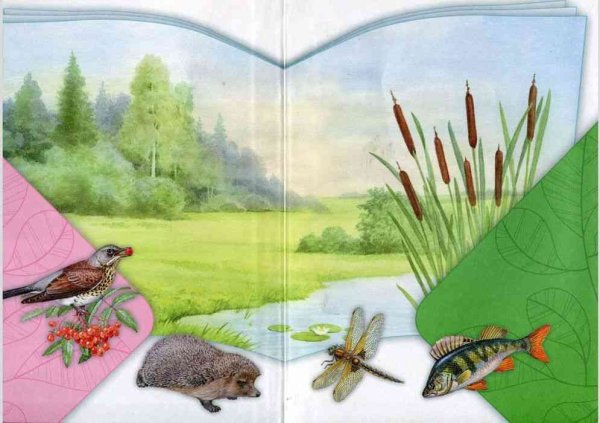 Окружающий мир иллюстрация