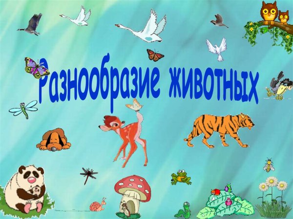 Многообразие животных для дошкольников