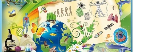 Биология рисунки