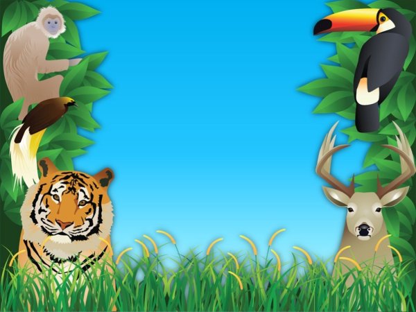 Охрана животных