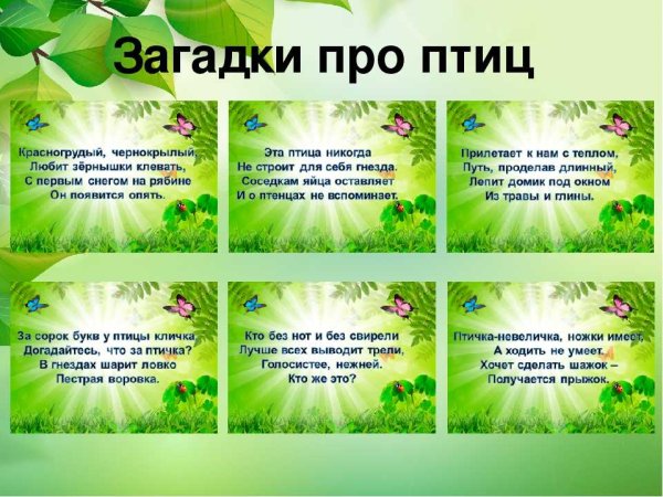 Загадки для детей про природу
