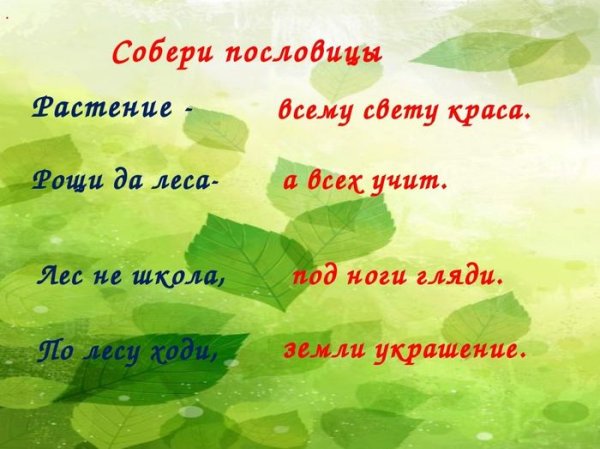 Пословицы о растениях