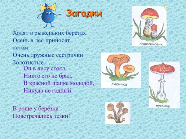 Загадки на тему природа