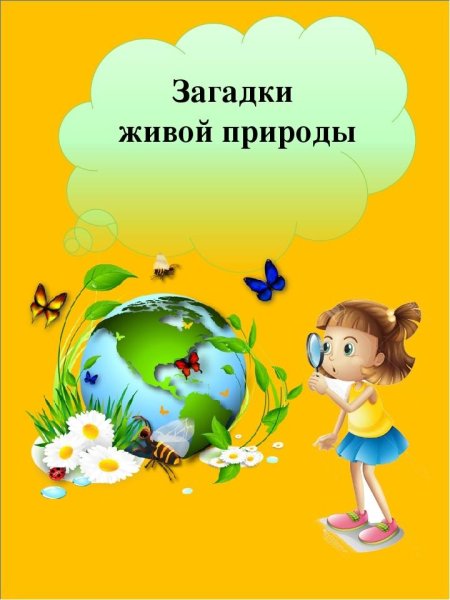 Экологические загадки
