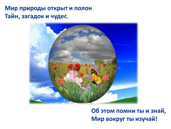 Загадка на тему природы с рисунками