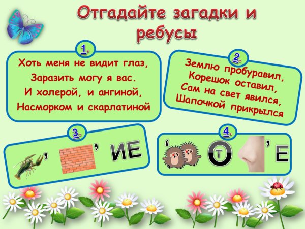 Загадки по биологии