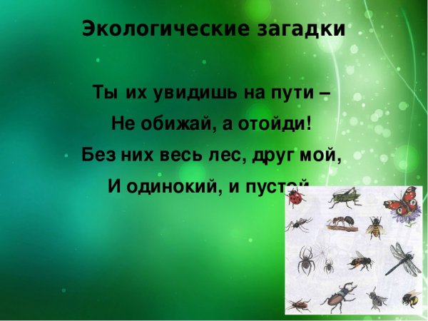 Экологические загадки для детей