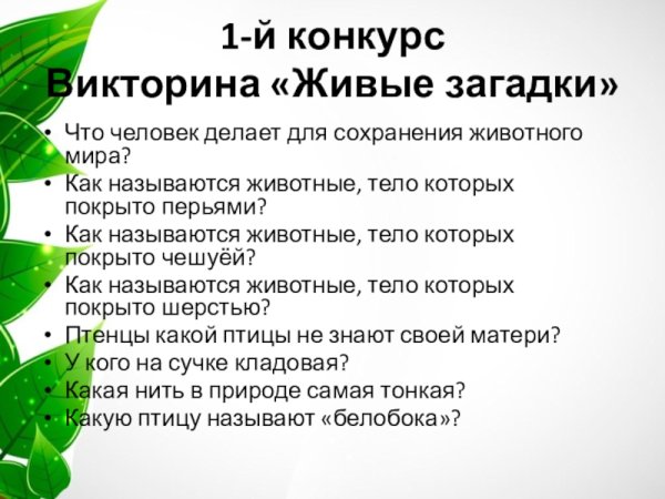 Загадки для викторины