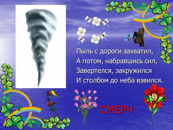 Загадки природы
