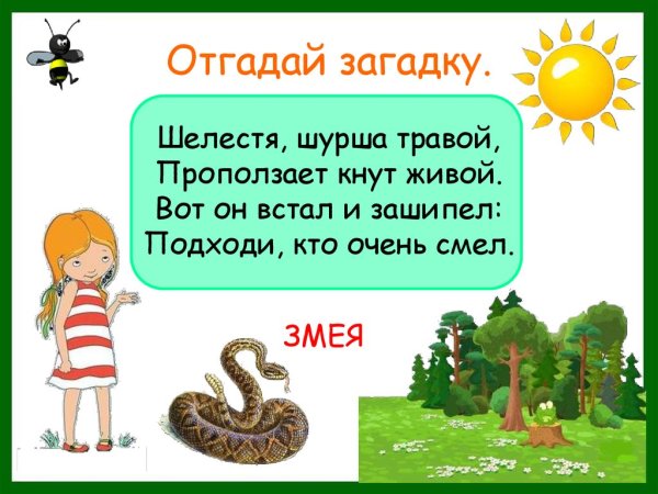 Загадки о змеях для детей