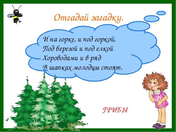Загадки про лес для детей