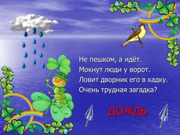 Загадки природы