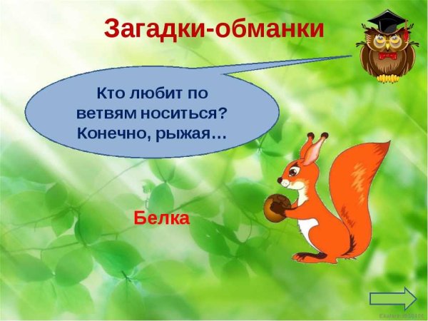 Загадки обманки