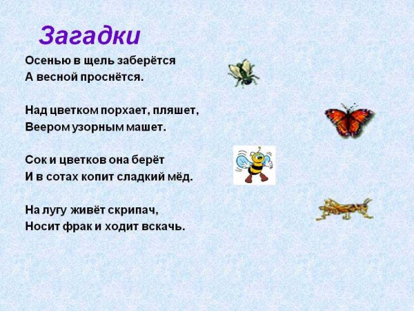 Загадки о животных и растениях
