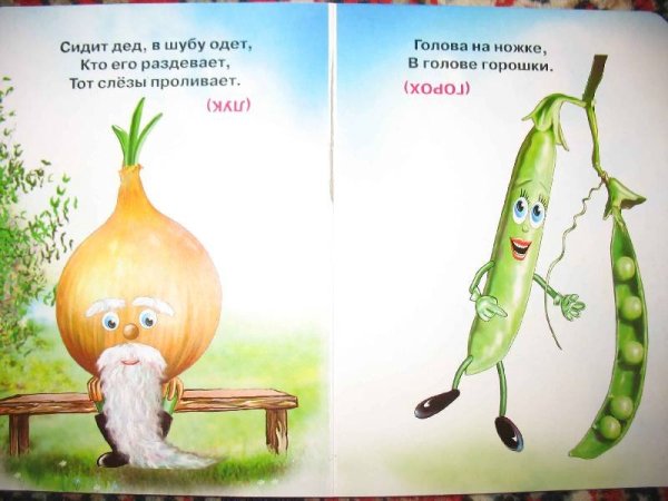 Загадки с рисунками