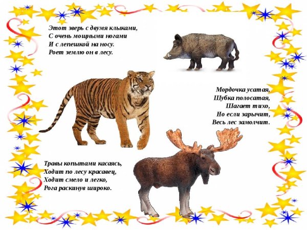 Загадки про животных для детей 6-7 лет с ответами