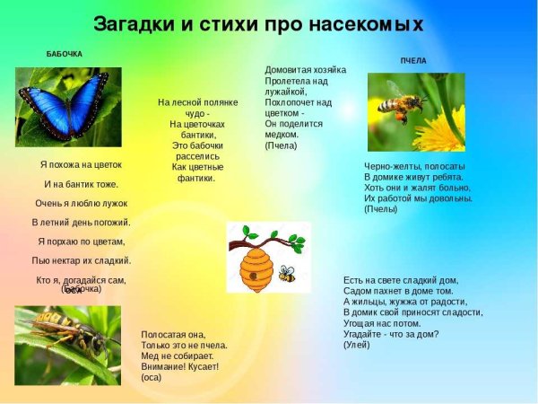 Стихи про насекомых