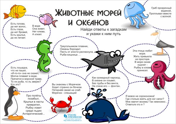 Загадки про морских обитателей