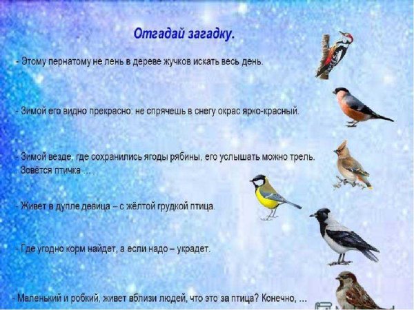 Загадки произимующих птиц