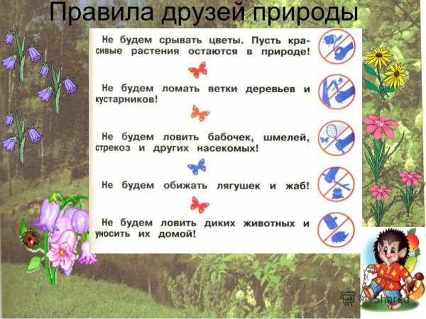 Знаки правил друзей природы