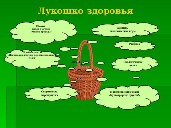 Экологические загадки для дошкольников