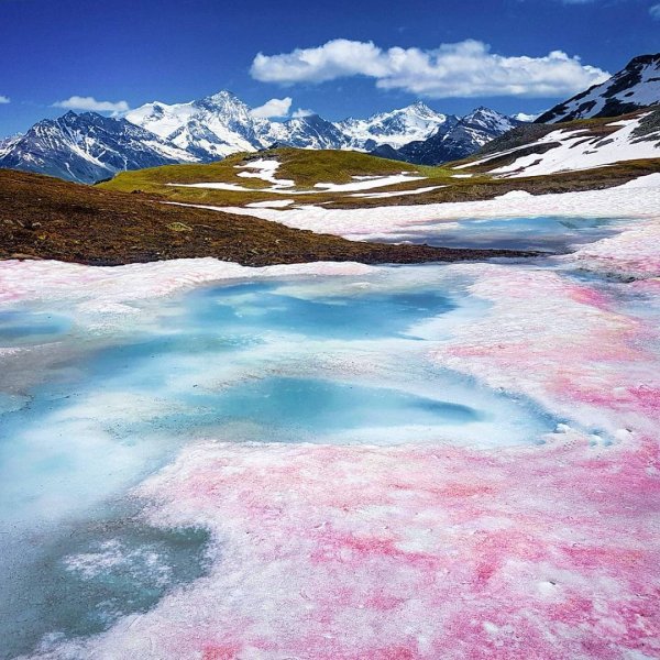 Сьерра Невада розовый снег