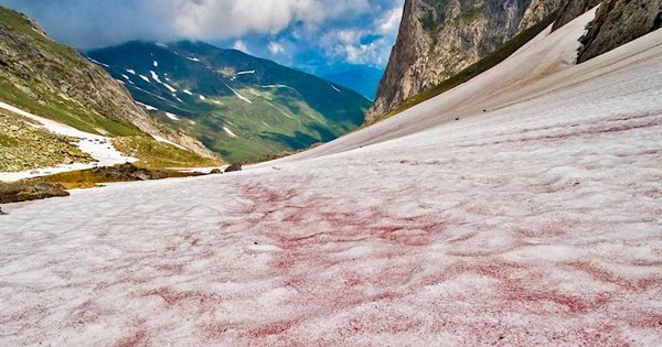 Розовый снег в горах Хибины