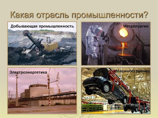 Отрасли добывающей промышленности