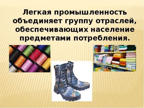 Легкая промышленность проект