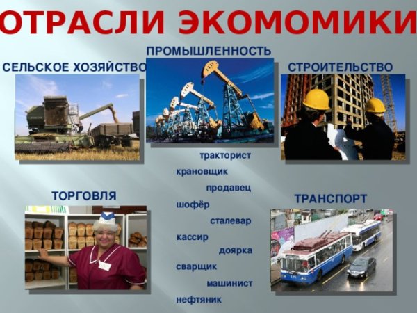 Отрасли экономики