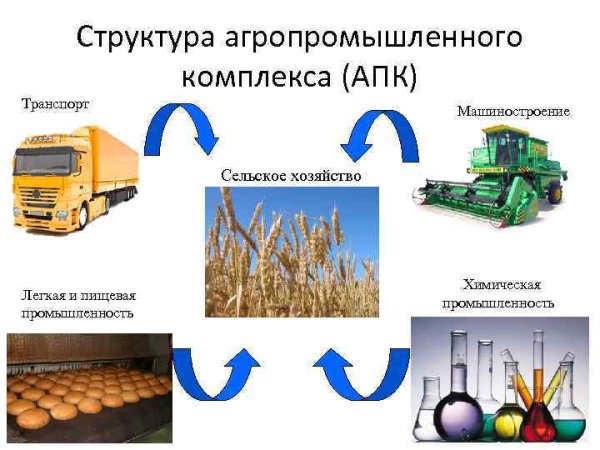 Агропромышленный комплекс Растениеводство отраслевой состав