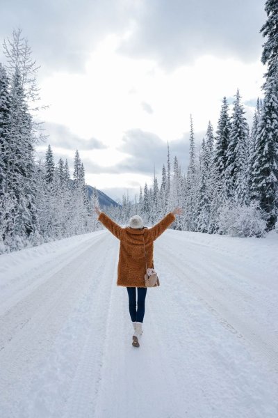 Путешествие зимой