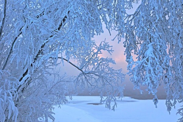 Белоснежная зима