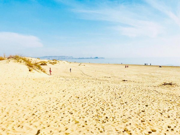 Пляж Тортуга Витязево