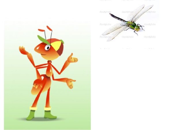 Муравьишка вопросик и мудрая черепаха