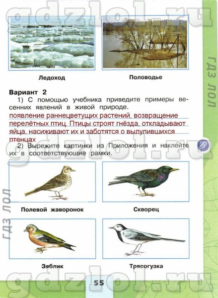 Окружающий мир 2 класс рабочая тетрадь стр 55
