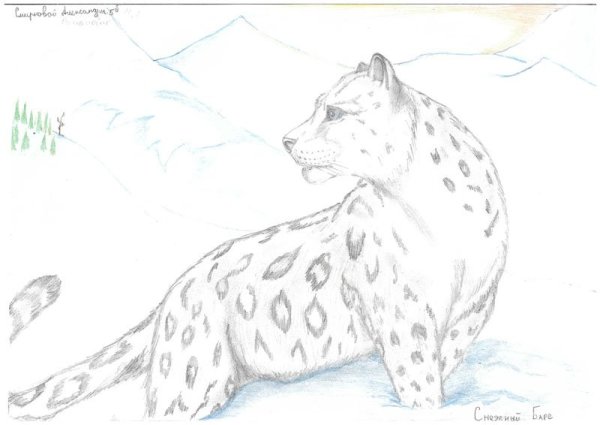 Нарисовать снежного Барса