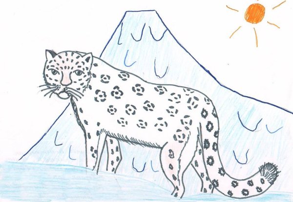 Снежный Барс рисунок для детей