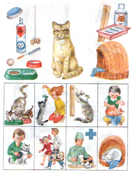 Предметы ухода за кошкой