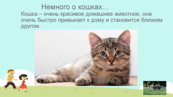 Проект про домашних животных