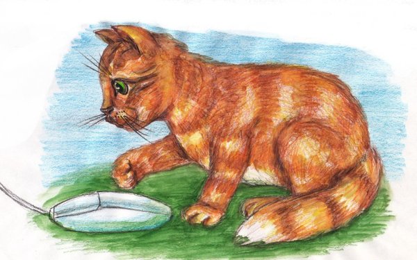 Домашний питомец рисунок