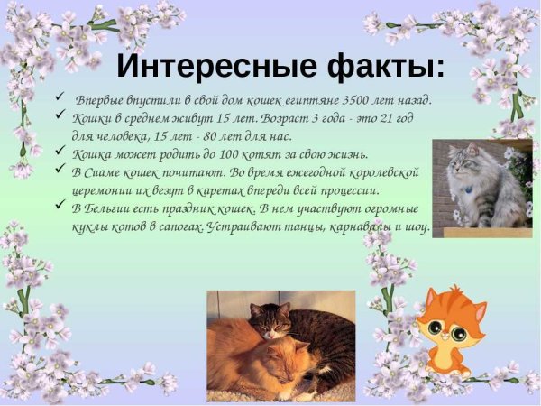 Тема проекта про животных