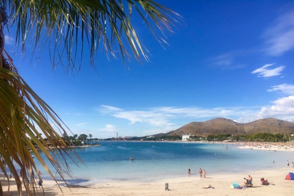 Плайя де Алькудия