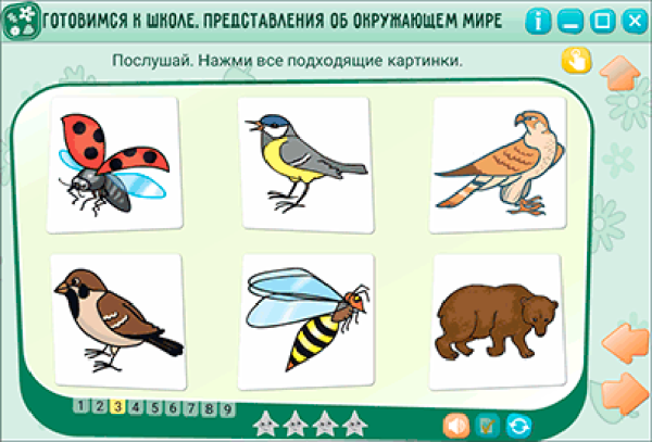 Об окружающем мире для дошкольников