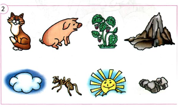 4 Лишний Живая и неживая природа